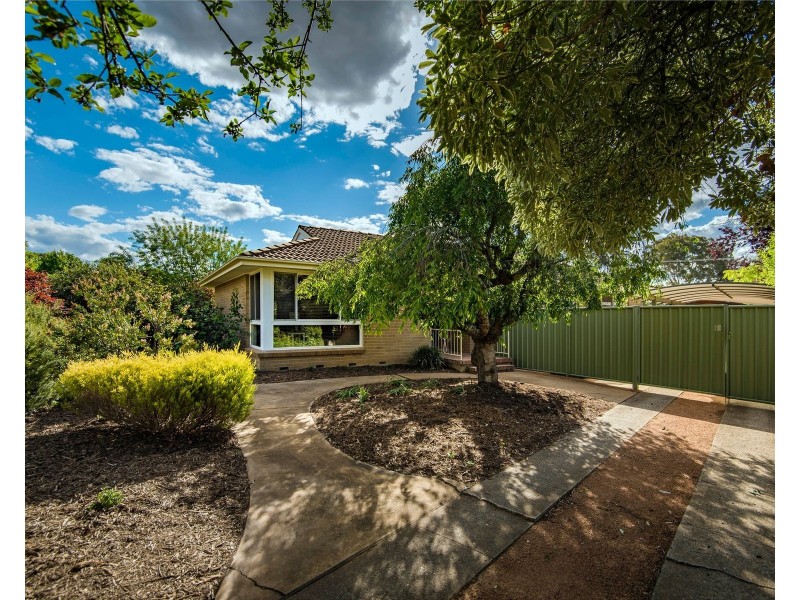 31 Macnaughton Street, Holt ACT 2615