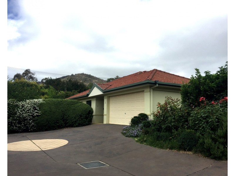 3/10 Paterson Street, Ainslie ACT 2602