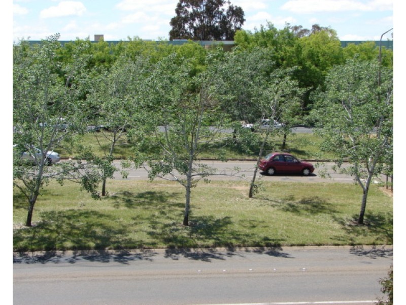 35/53 McMillan Crescent, Griffith ACT 2603