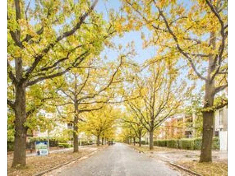 36/19 Ijong Street, Braddon ACT 2612