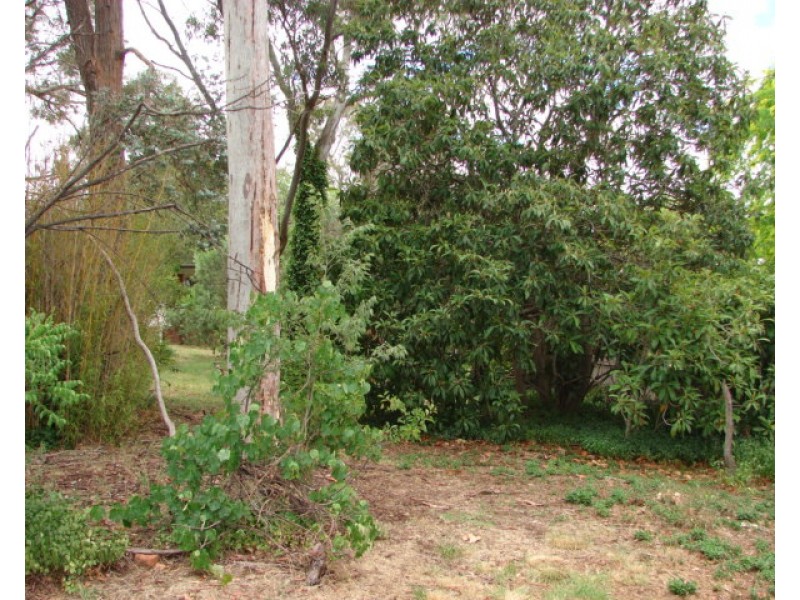 141 Duffy Street, Ainslie ACT 2602