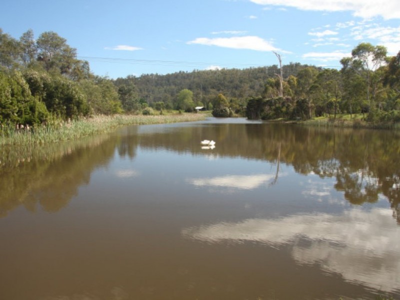 105 Hillwood Road “Hillwood Berry Farm”, Hillwood TAS 7252