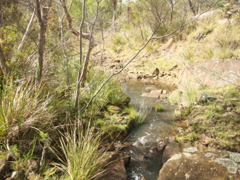 105 Hillwood Road “Hillwood Berry Farm”, Hillwood TAS 7252