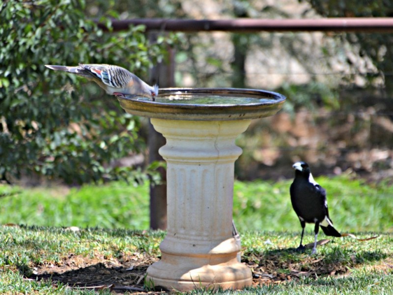 1 Meyers Road, Strathalbyn SA 5255