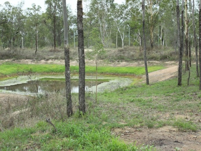 248 Cherryfield Road, Gracemere QLD 4702