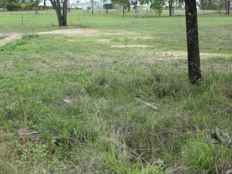 248 Cherryfield Road, Gracemere QLD 4702