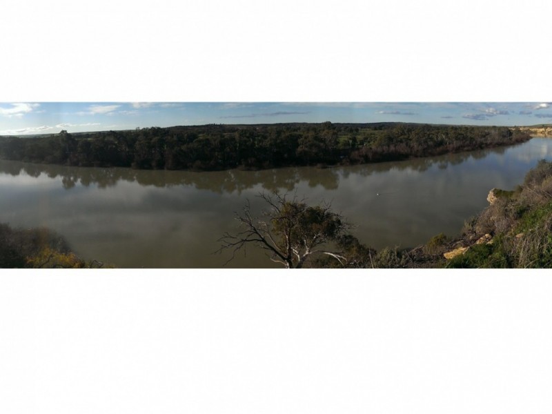 3 Wilhelm Crt, Caloote SA 5254