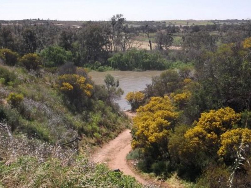 3 Wilhelm Crt, Caloote SA 5254