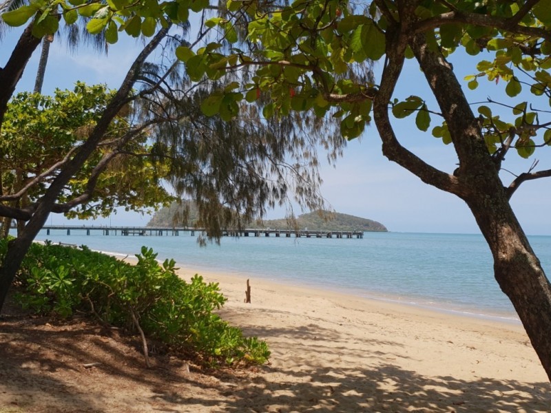 3/32 Oliva Street, Palm Cove QLD 4879