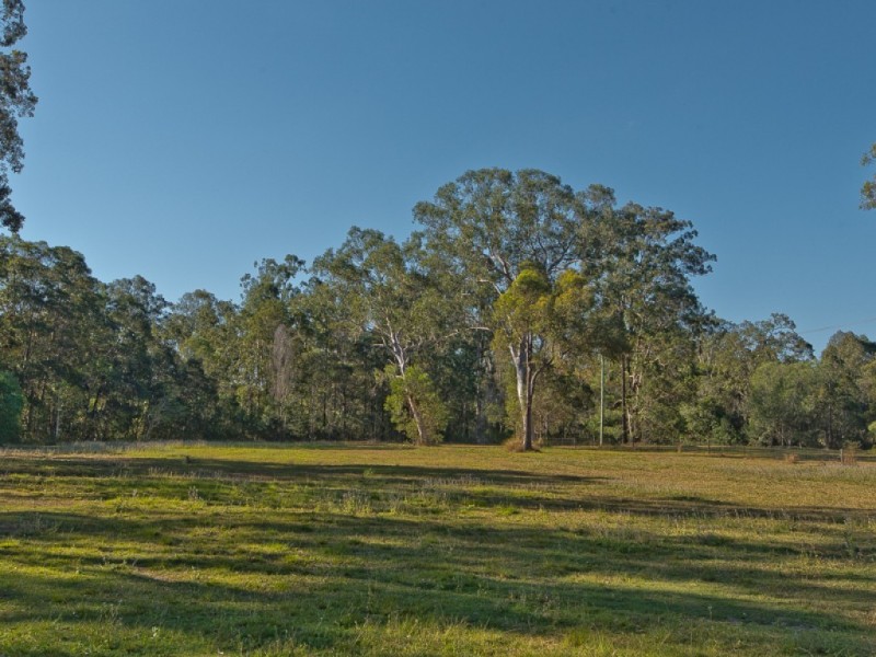Pest control in Wamuran