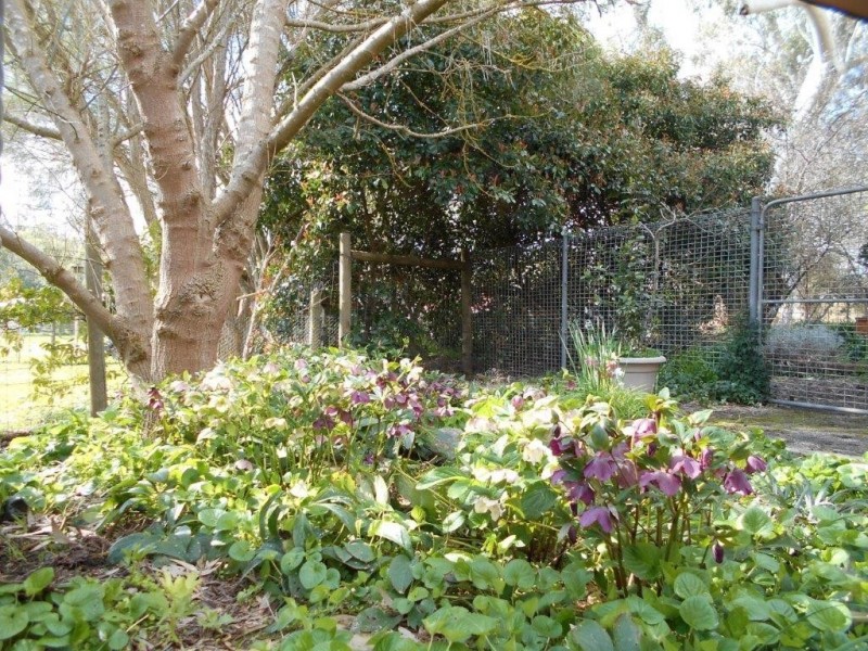 53a Shannon Street, Birdwood SA 5234