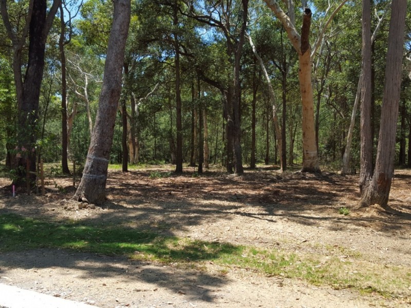 10 Sandstone Place, Tapitallee NSW 2540