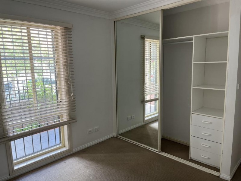 19 Calvert Street, Marrickville NSW 2204