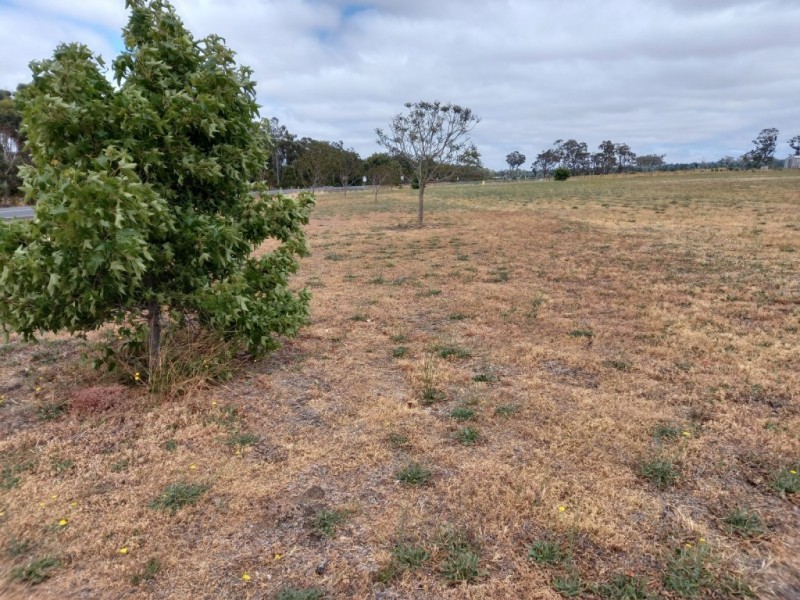 4 Bartlett Close, Mount Barker WA 6324