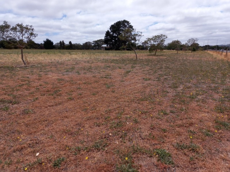 4 Bartlett Close, Mount Barker WA 6324