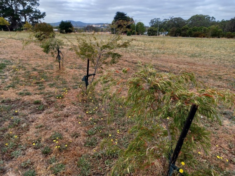 4 Bartlett Close, Mount Barker WA 6324