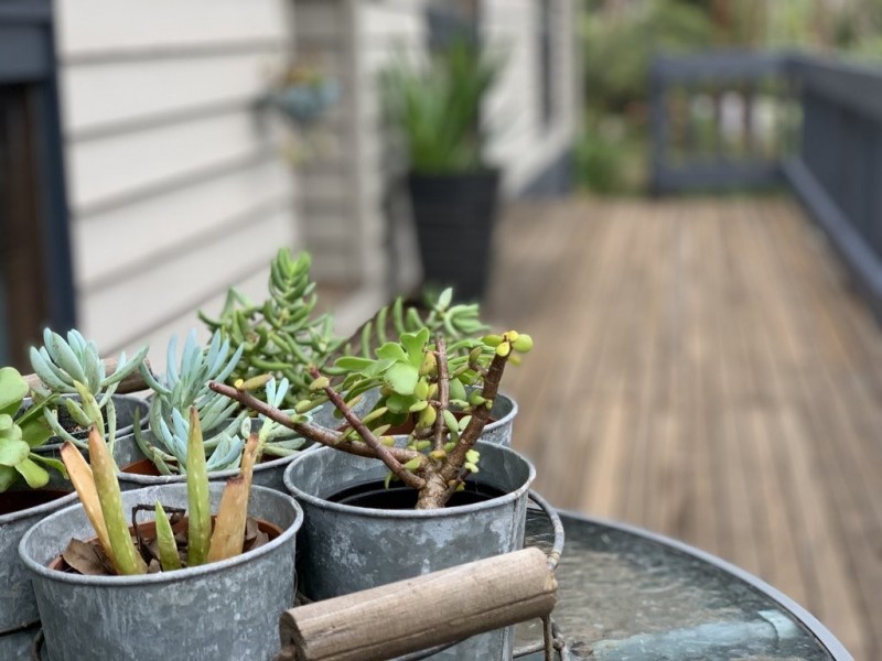 5 Meander Road, Hurstbridge VIC 3099