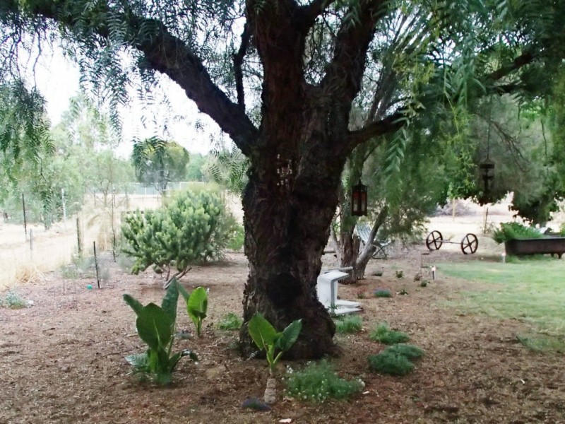 97 Brooking Street, Beverley WA 6304