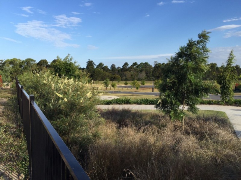 Lot 101 Rosemead Street, North Lakes QLD 4509