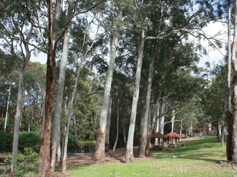 3 Glentrees Place, Cherrybrook NSW 2126