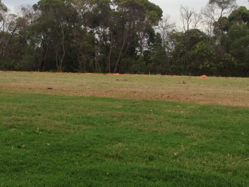 41/Lot 82 Paterson Street, North Lakes QLD 4509