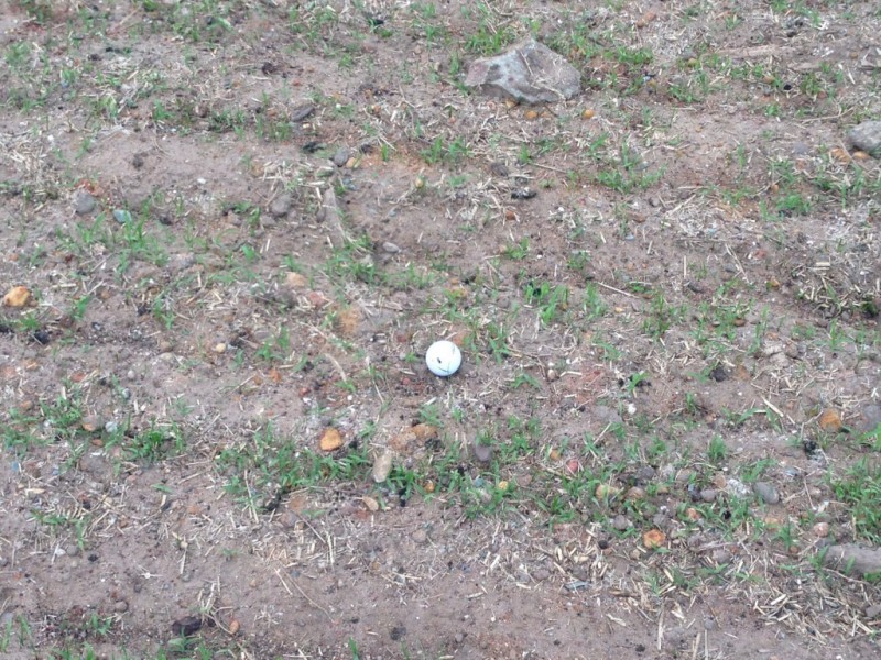 41/Lot 82 Paterson Street, North Lakes QLD 4509