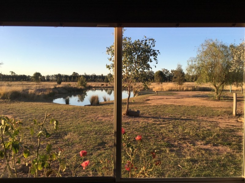 3442 Millmerran Leyburn Road, Leyburn QLD 4365