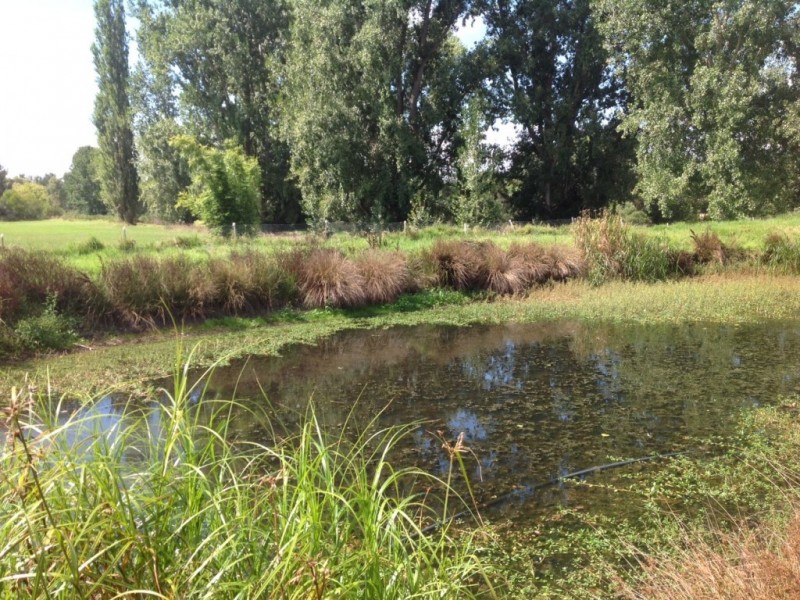 4 Millowine Lane, Bega NSW 2550