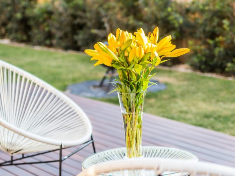 32 Barrington Circuit, Waterford QLD 4133