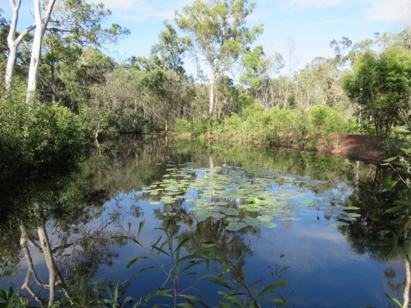 183 Dale Drive, Rules Beach QLD 4674