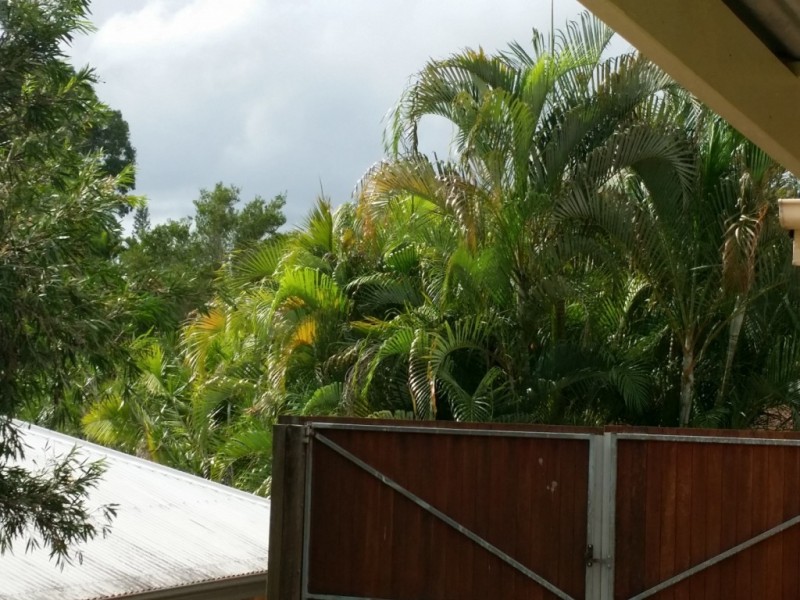 6 Possum Place, Nambour QLD 4560