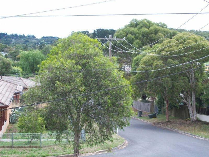 134 Ryan Street, Brown Hill VIC 3350