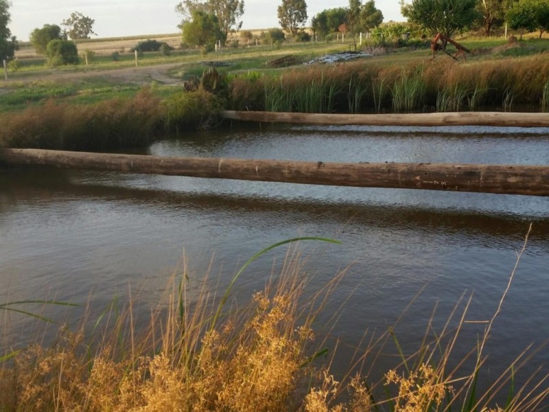 Lot 11/139 Billabong Creek Drive, Conargo NSW 2710