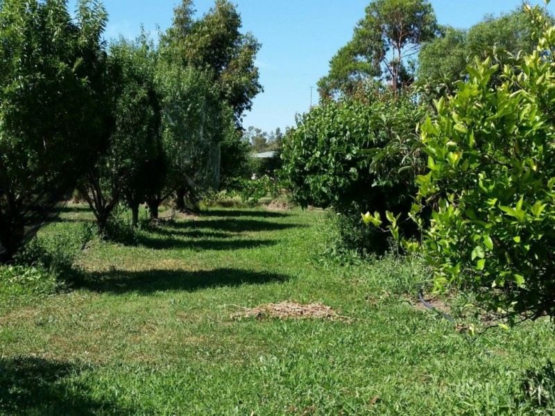 Lot 11/139 Billabong Creek Drive, Conargo NSW 2710