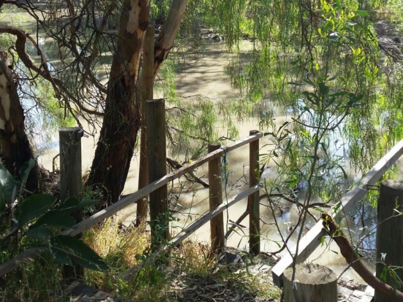 Lot 11/139 Billabong Creek Drive, Conargo NSW 2710