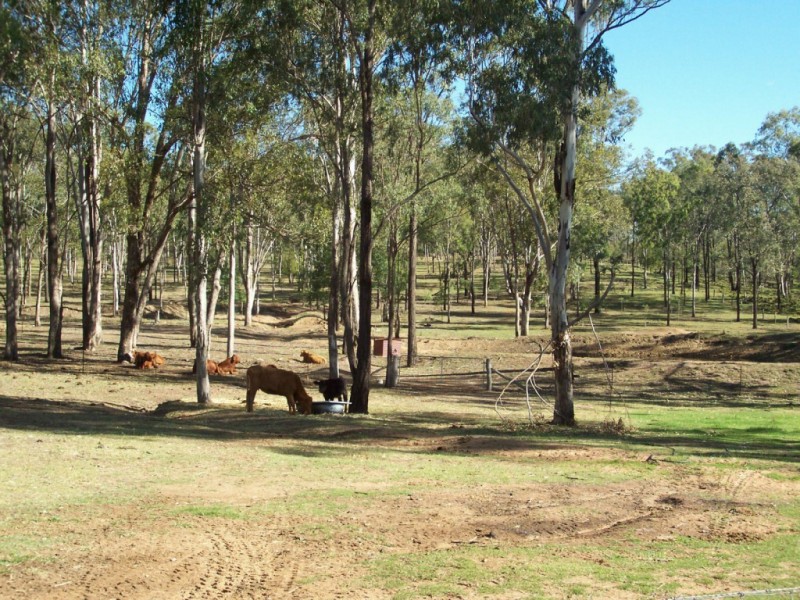 Wattle Camp QLD 4615