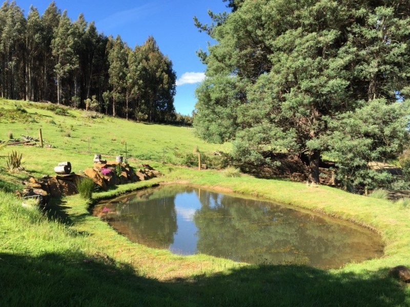 6 Paddys Lane, Franklin TAS 7113