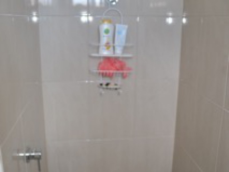 7 Bailey Street, Adamstown NSW 2289