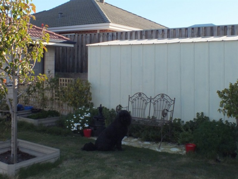 11 Newington Pass, Ellenbrook WA 6069