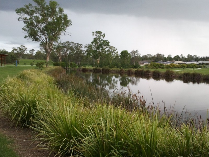 1 Piping Court, Raceview QLD 4305