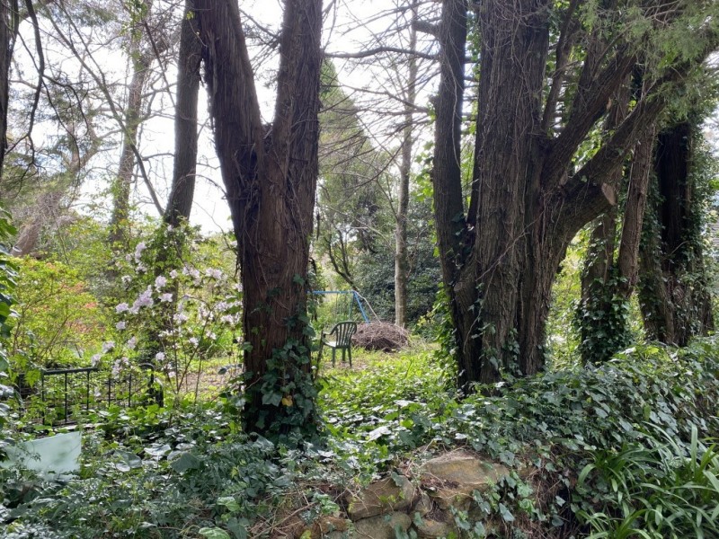 Wentworth Falls NSW 2782