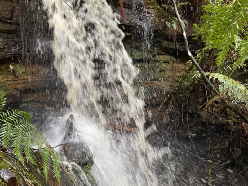 Wentworth Falls NSW 2782