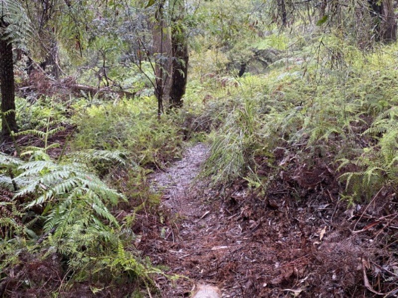 Wentworth Falls NSW 2782