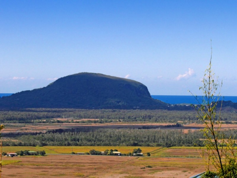 6 Caladenia Court, Maroochy River QLD 4561