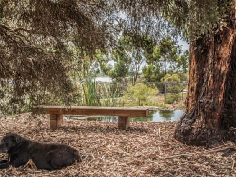 117 Murray Drive, Murray Bridge SA 5253