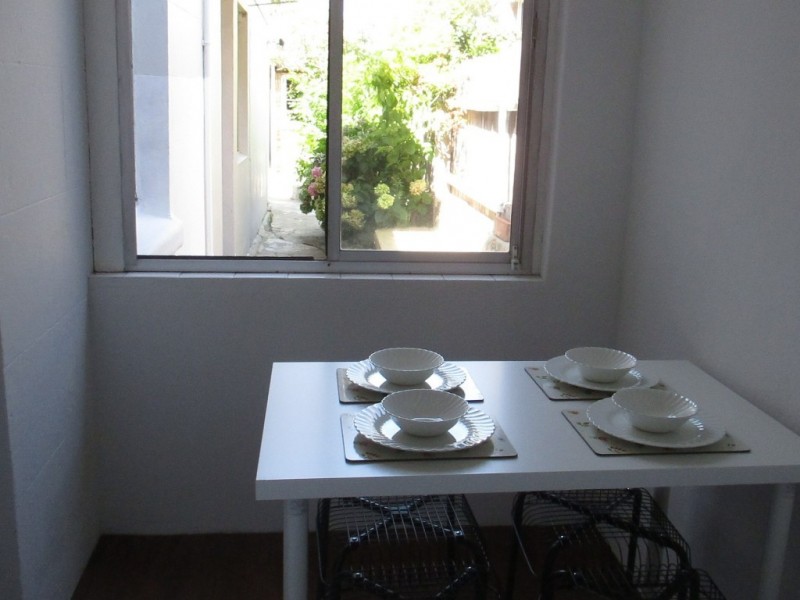 8 Justin St, Lilyfield NSW 2040