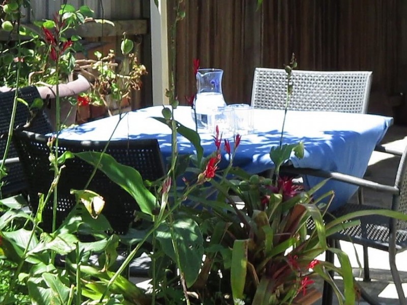 8 Justin St, Lilyfield NSW 2040