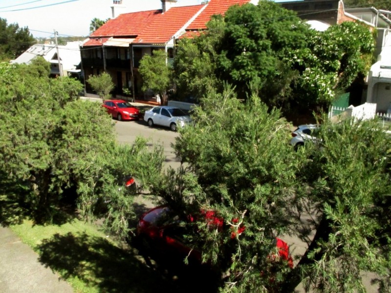 8 Justin St, Lilyfield NSW 2040