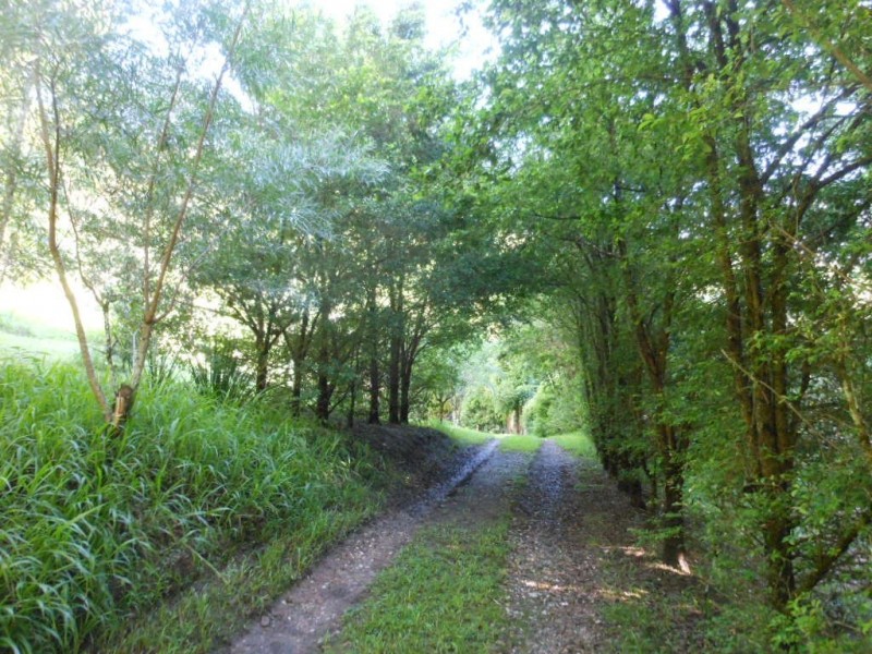 5174 Taylors Arm Road, Thumb Creek NSW 2447