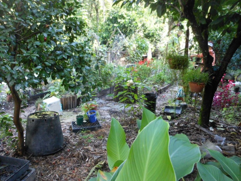 5174 Taylors Arm Road, Thumb Creek NSW 2447